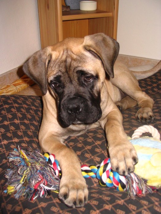 Bailie_015.jpg